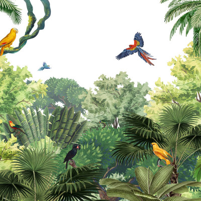 Canopy Jungle, Kikki Belle
