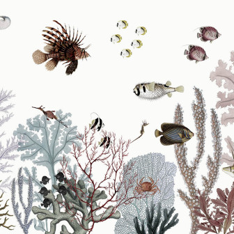 Tapet personalizat cu tematica marina, cu corali, pesti si alte viețuitoare marine.