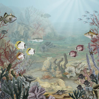 Tapet cu corali și pești într-un dormitor