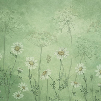Fototapet floral cu margarete albe pe fundal verde