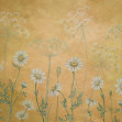 Dazzling Daisies - Yellow, Sir Edward
