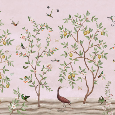 Lemon Tree Chinoiserie - Pink, Sir Edward